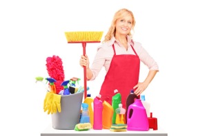 cleaning service software